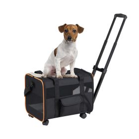Foldable Soft-sided Dog Travel Crate for Pet Carrier